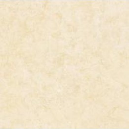 Gạch Trường Thịnh TT88010